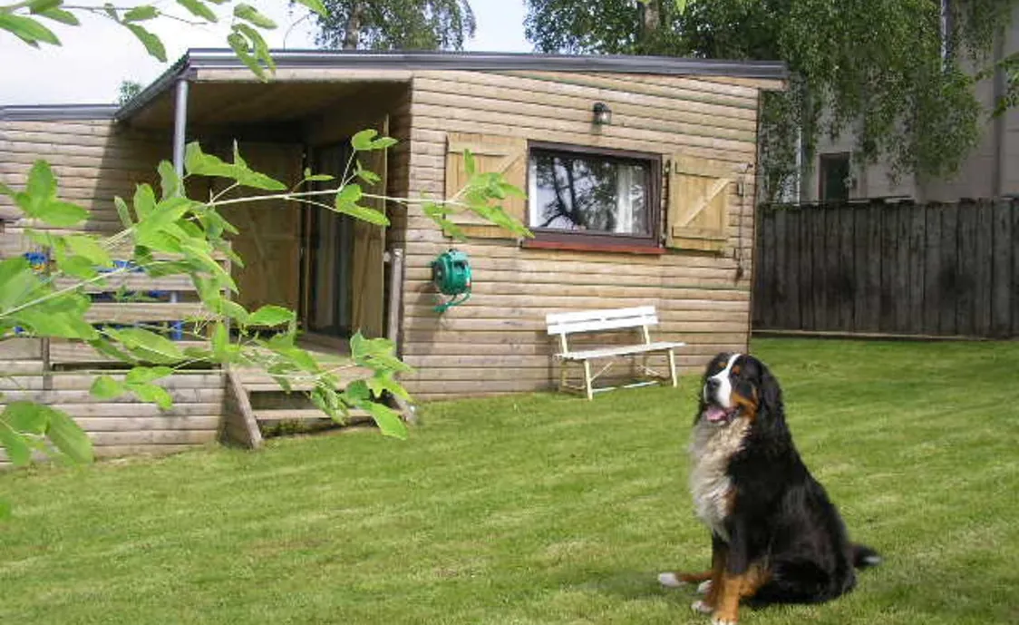 Gemütliches Ferienhaus mitten in der Natur der belgischen Ardennen * Preis inklusive Verbrauchskosten